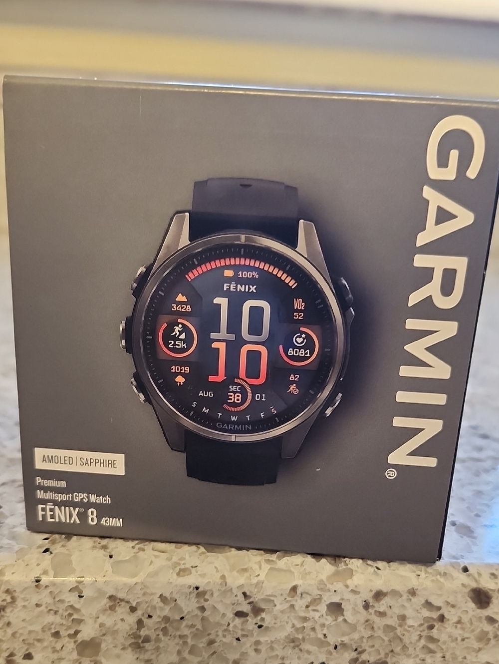 Garmin Fenix 8 - Black and Silver Multisport GPS Watch